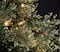 4.5ft. Pre-Lit Sedona Spruce Artificial Christmas Tree, Warm White LED Lights by Ashland®